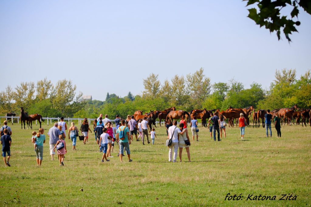 Photo of the traditional open day at the end of August